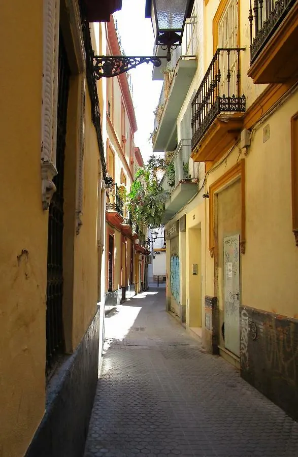 Bt6Sevilla